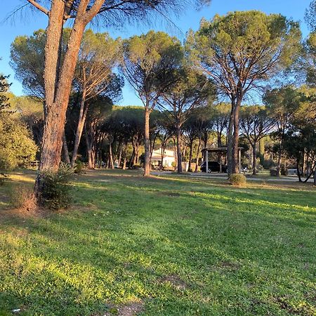 Residence Gabrielle Le Cannet Des Maures Exterior photo